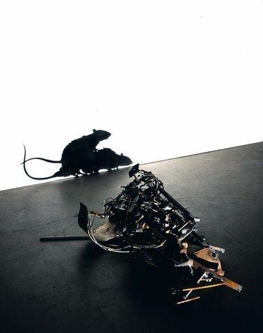 Televisies en computers