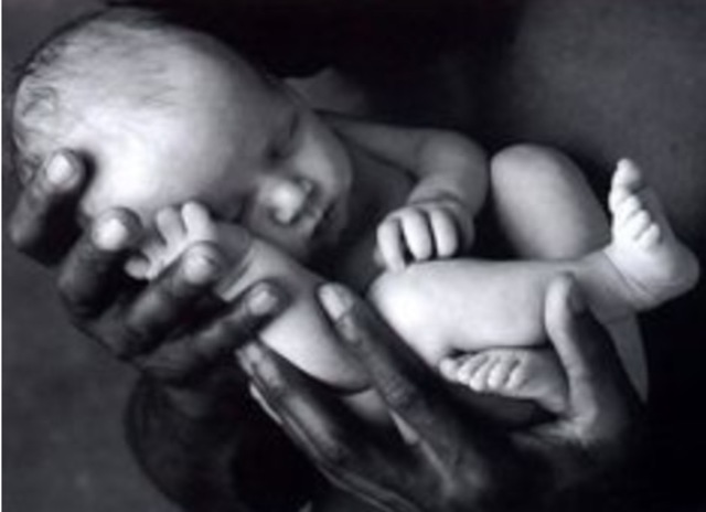 Birth of Charles Dickens