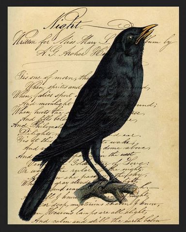 "The Raven"