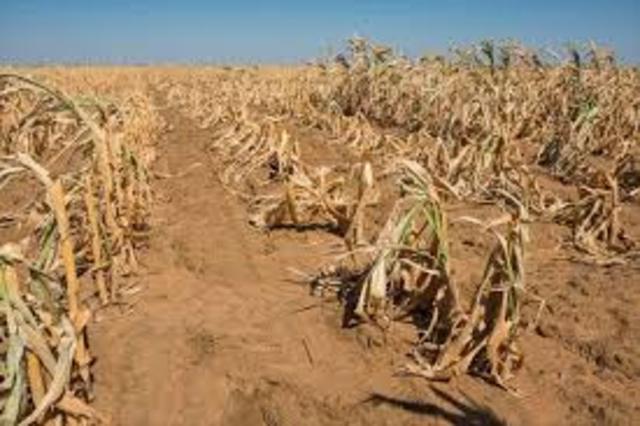 South Africa Declares Drought a "National Disaster"