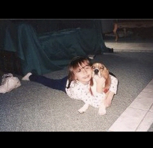 Conseguir un nuevo perro (Marzo 2008)