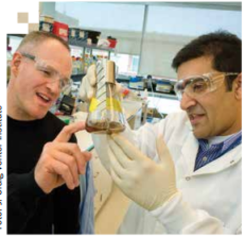 Escherichia coli produce alcanos y alquenos