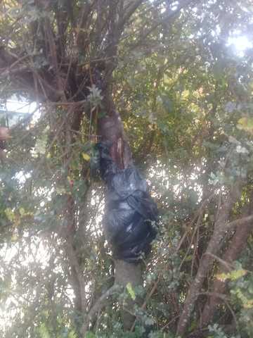 revicion de humedad de acodo aereo