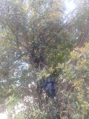 revicion de humedad de acodo aereo