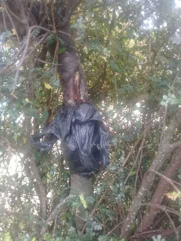 revicion de humedad de acodo aereo