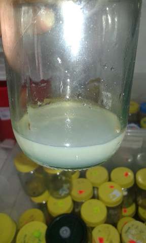 frascos sin contaminación