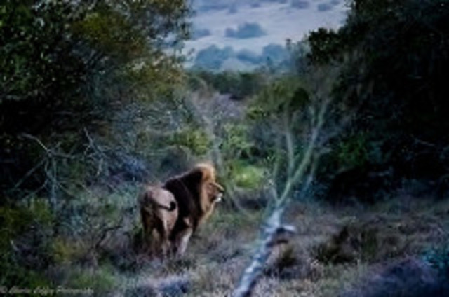 Cape Town, South Africa is taken from the Dutch