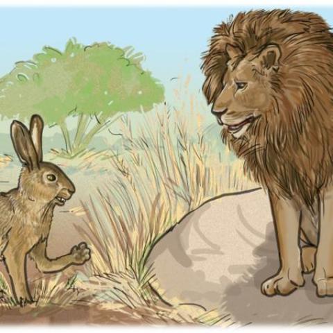 The Lion, The Hare, and the Hyena