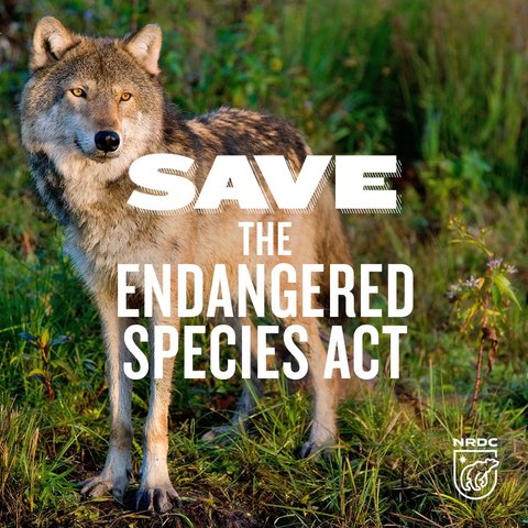 Endangered Species Act