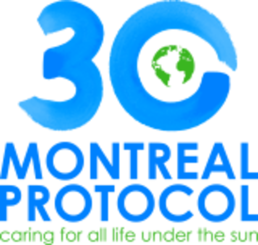 the Montreal Protocol