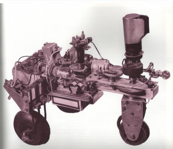 Tortue cybernétique