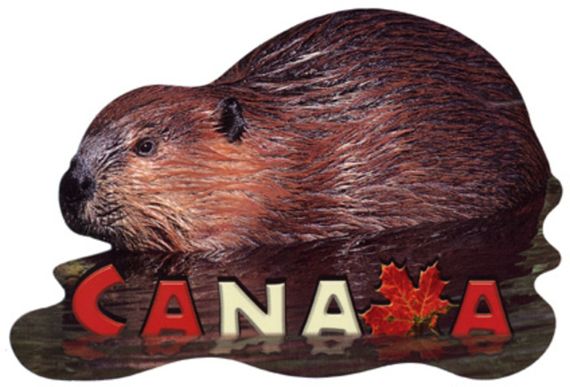 Receiving Canadian Citizenship