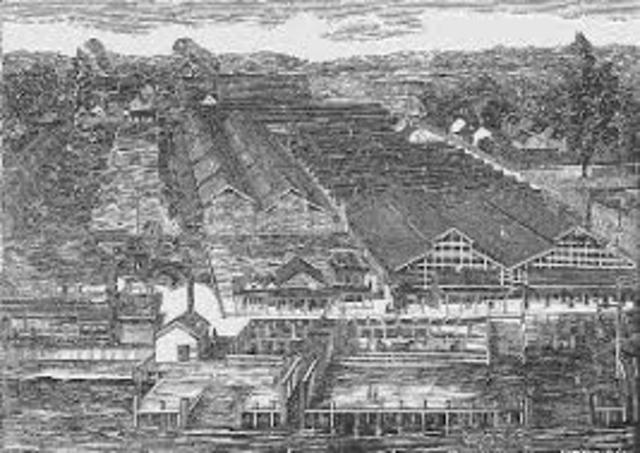 Slaughterhouse Cases (Supreme Court)