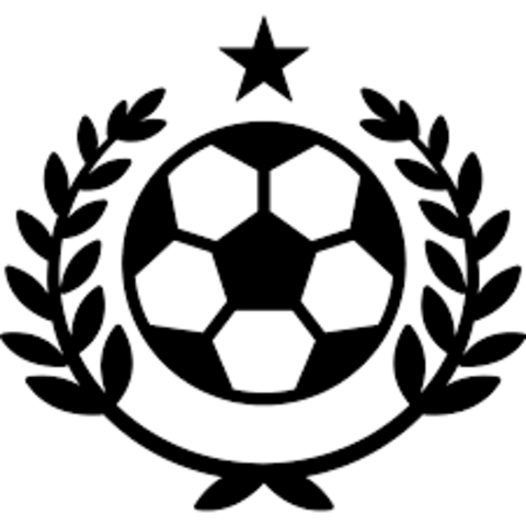 Joining the Soccer team