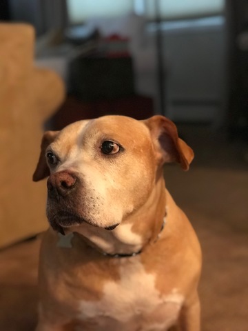 Cuando rescatamos a Rory