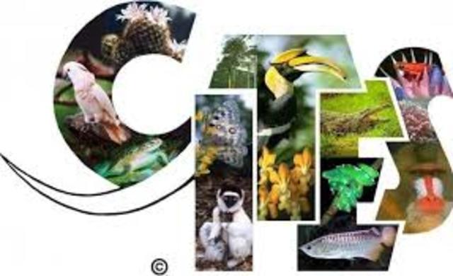 Convention on International Trade in Endangered Species (CITES)