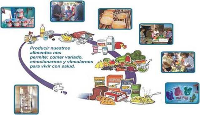 PROGRAMA NACIONAL ALIMENTARIO