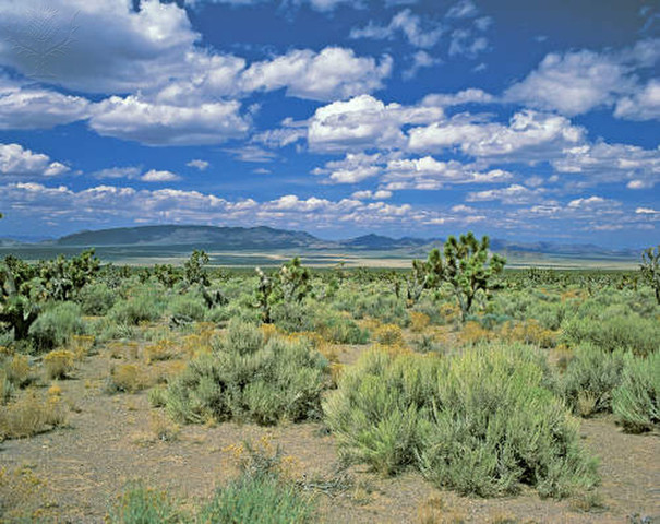 Nevada Proving Grounds