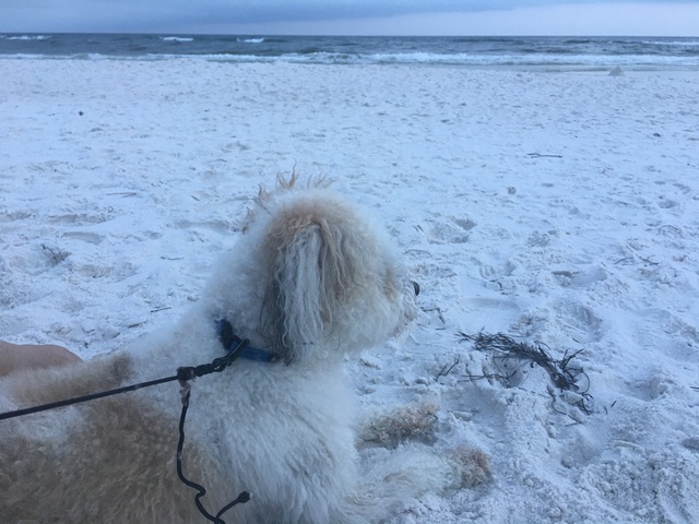 Vacation to the beach with just mommy!