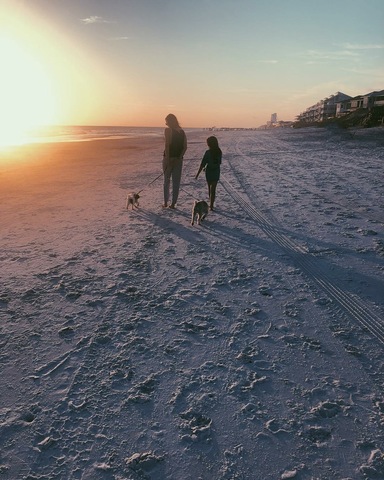 Oscar goes to Florida for the first time!