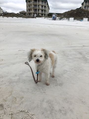Bringing in 2019 at the beach!