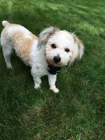 Spring Break!!  Mommy home all week!!