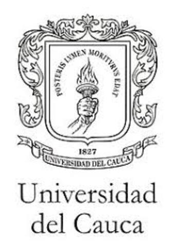 Mi mamá se va a estudiar su ingeniería a Popayán, Colombia