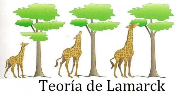Lamarck y la adaptación: la necesidad crea el órgano.