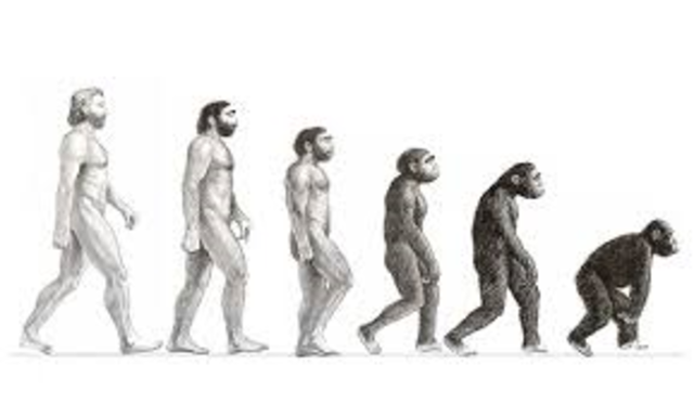 Evolución y degeneración (Buffon)