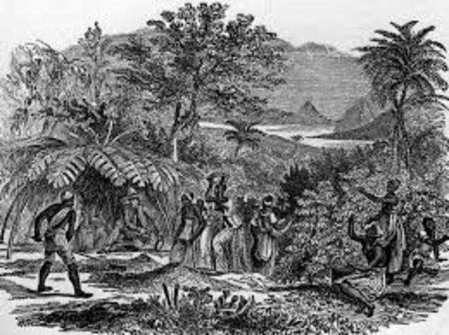 Coffee is first grown by Europeans in Brazil