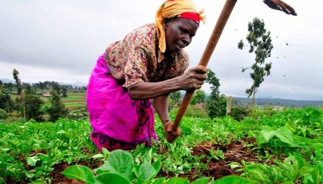 Killing of South African Farmers
