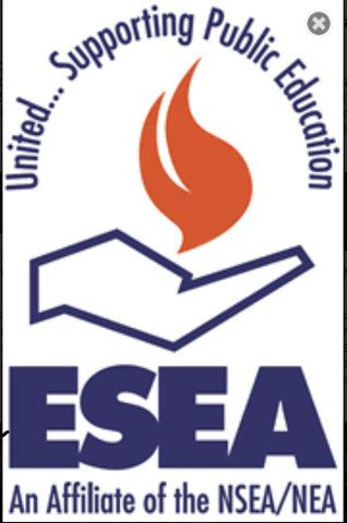 ESEA 1969 Amendments