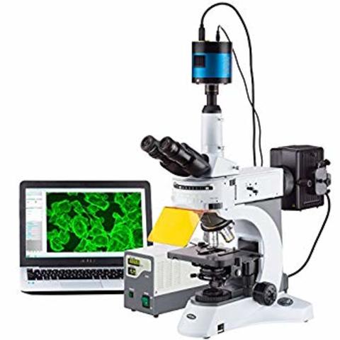 Microscopia de fluorescencia