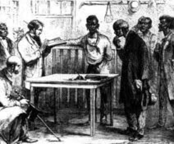 Freedman's Bureau Established