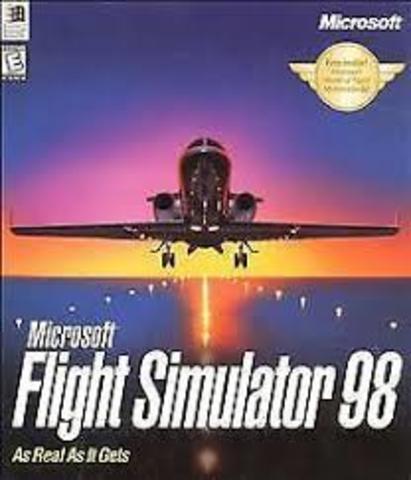 Flight Simulator
