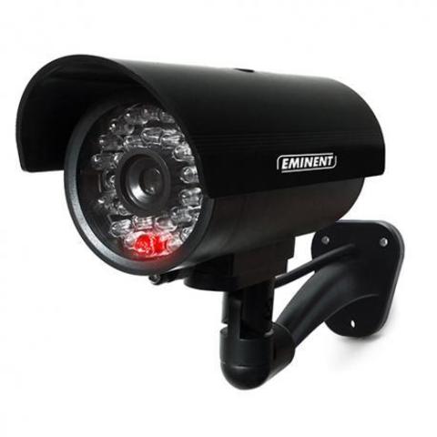 marie van brittan brown