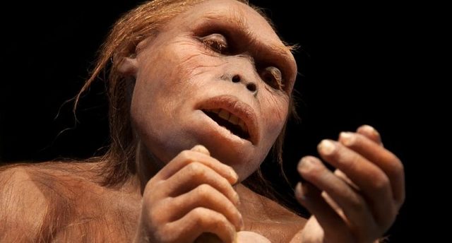 Australopithecus (hace 3m.a)