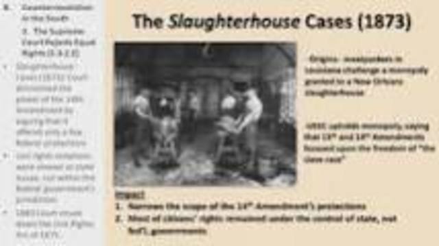 Slaughterhouse Cases(Supreme Court)