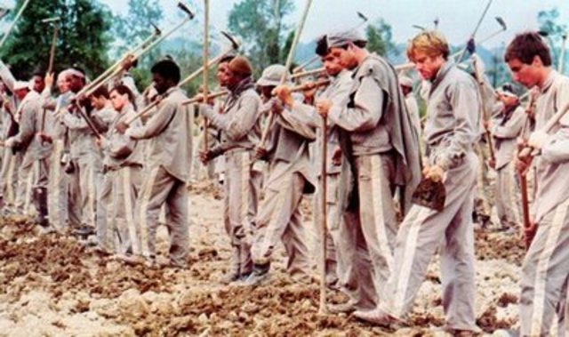 Código Penal para el Estado de Veracruz