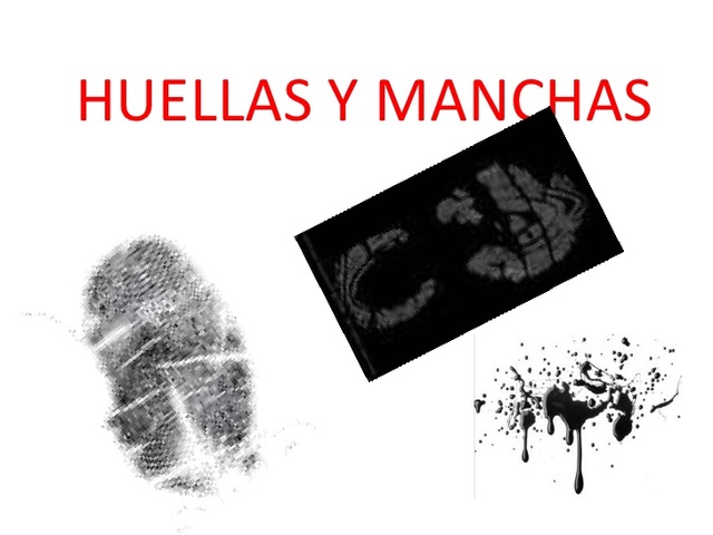 Primera vez en una corte