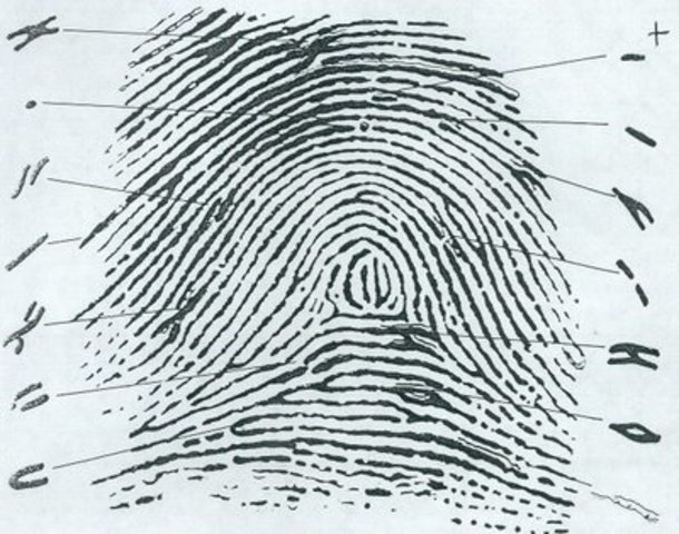 Humberto Orrego Gauthier