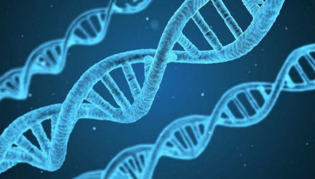 John Watson y Francis Crick