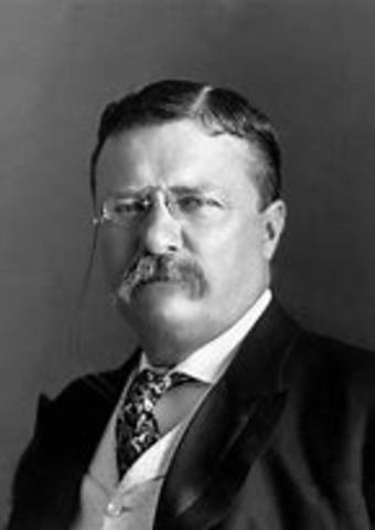 T. Roosevelt’s Presidency