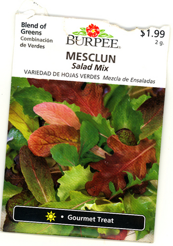 Planted lettuce and purple basil