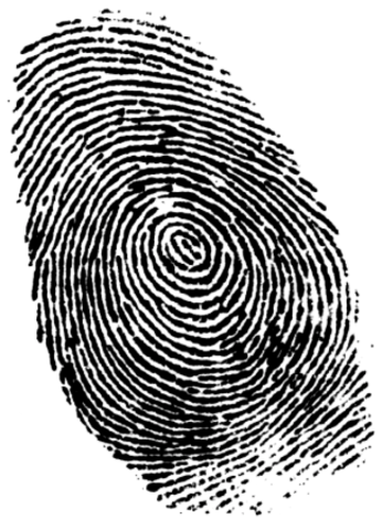 Fingerprint ID