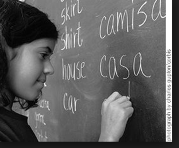 The Immigration and Nationality Act of 1990