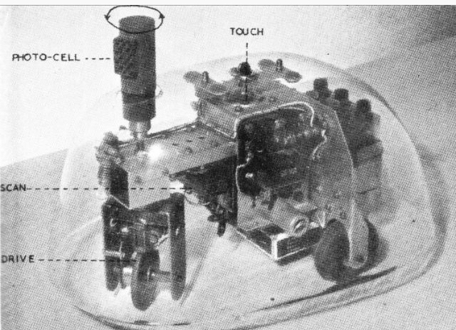 Tortues cybernétiques