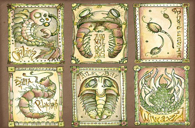 Los hallazgos en genética y paleontología dieron fuerza a la hipótesis.