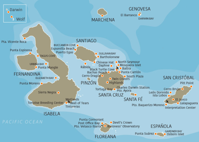 Encontró los indicios más evidentes de la evolución en las Islas Galápagos.