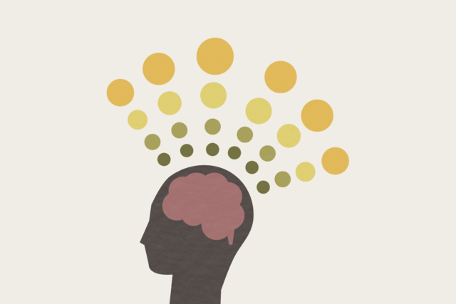 427: Philosophy of Innate Intelligence